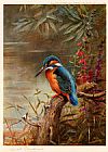 Summer Kingfisher by Archibald Thorburn